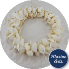 8506 - White Cockle - Shell  Wreath